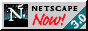 Netscape Logo